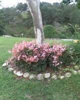 /album/galeria-de-fotos/imagem-098-jpg1/